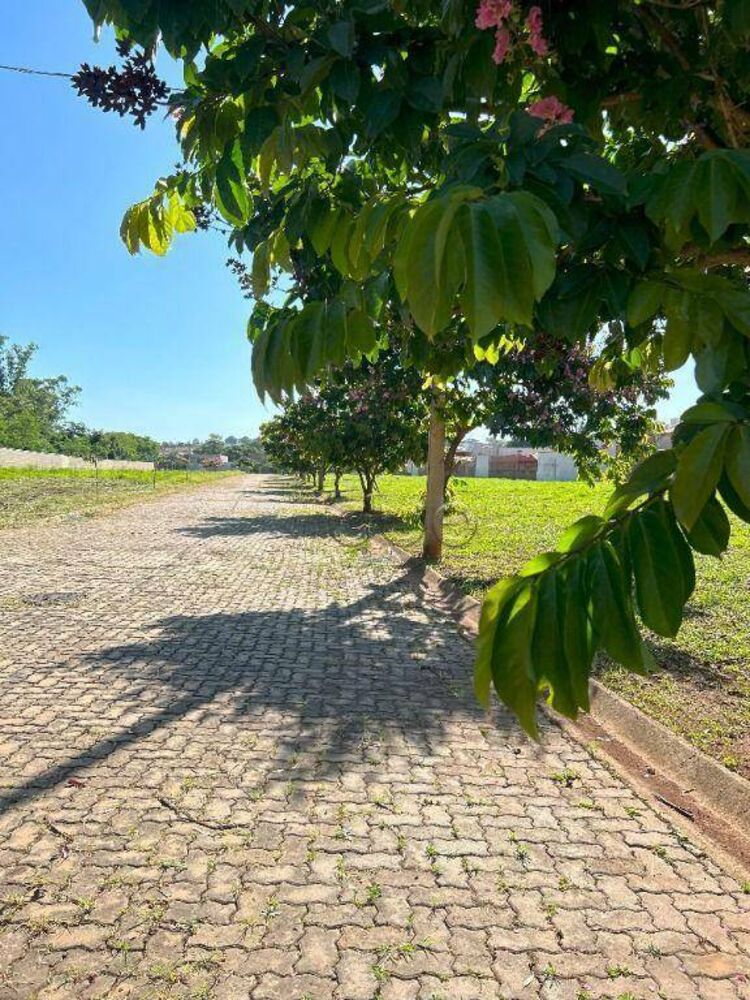 Terreno, 262 m² - Foto 3