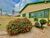 Casa, 5 quartos, 250 m² - Foto 1