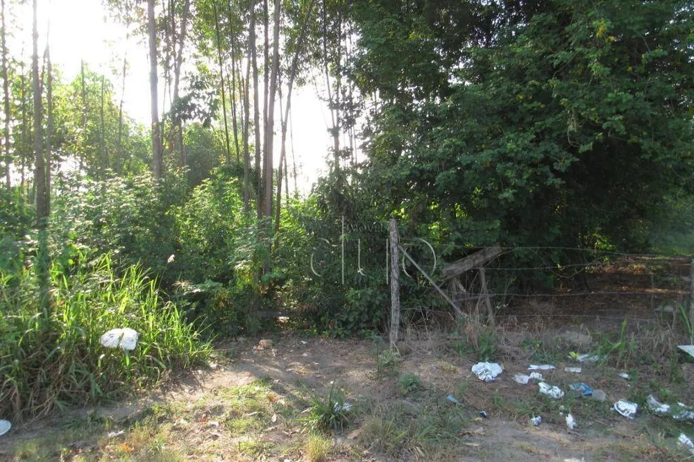 Terreno, 5 hectares - Foto 3