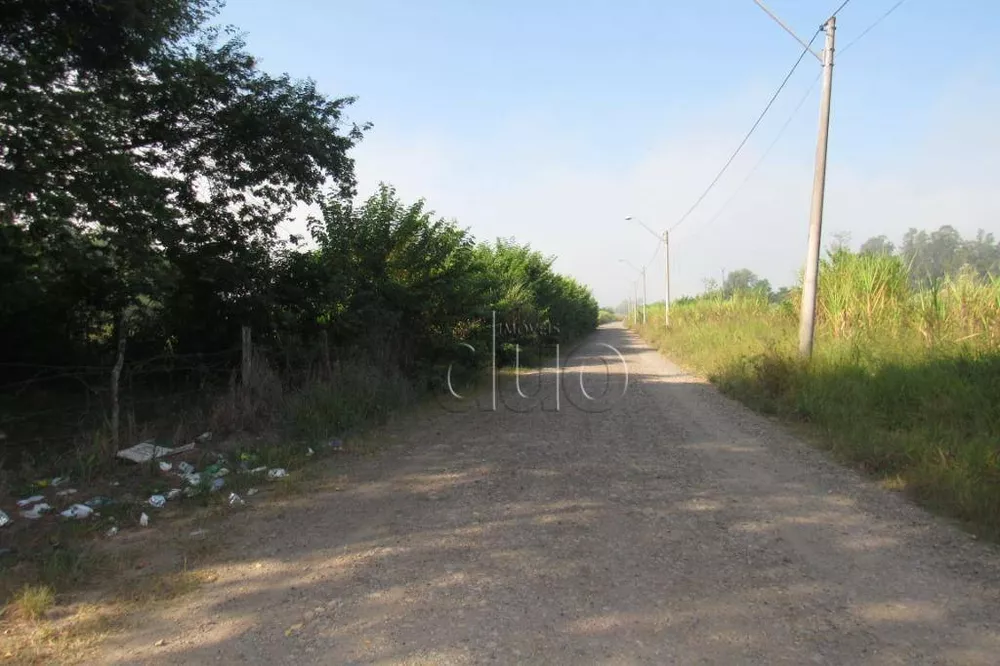 Terreno, 5 hectares - Foto 5