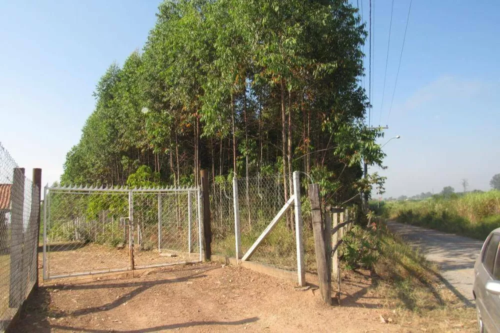 Terreno, 5 hectares - Foto 6