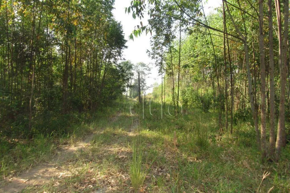 Terreno, 5 hectares - Foto 2