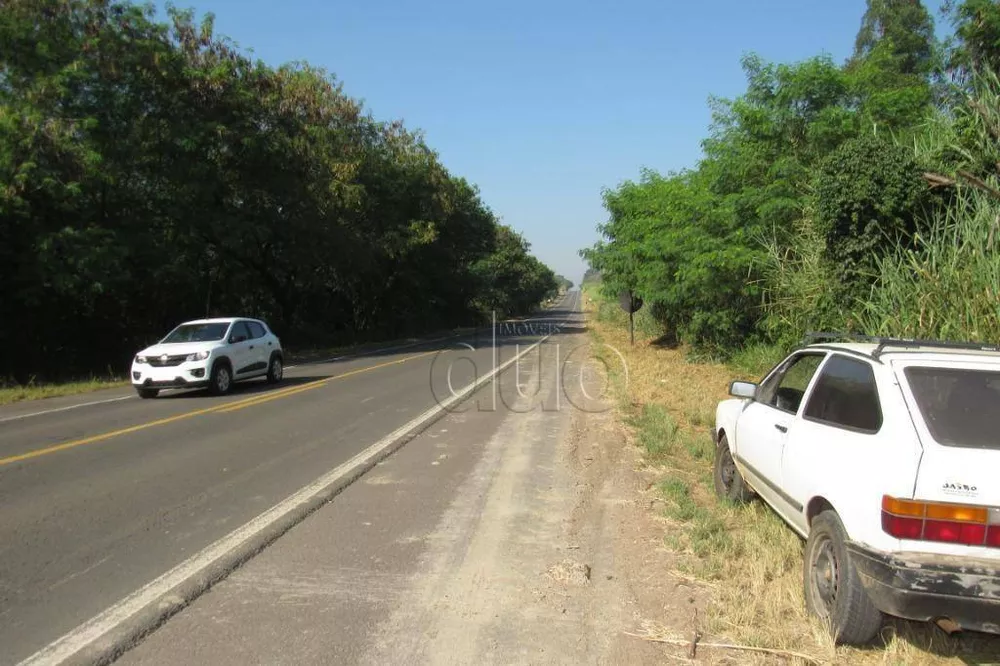 Terreno, 5 hectares - Foto 7