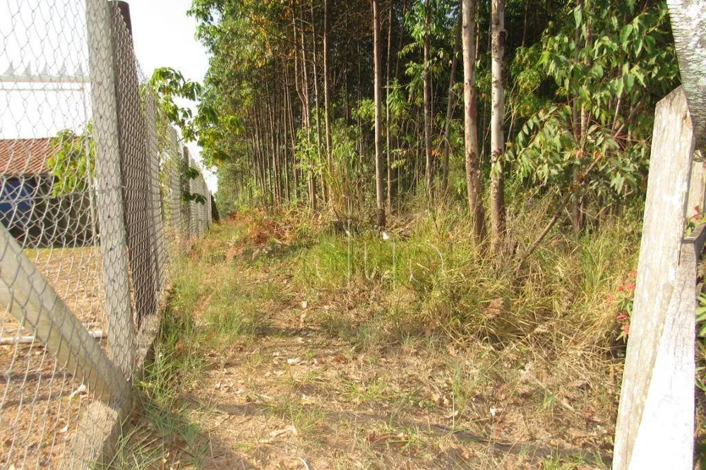 Terreno, 9 hectares - Foto 6