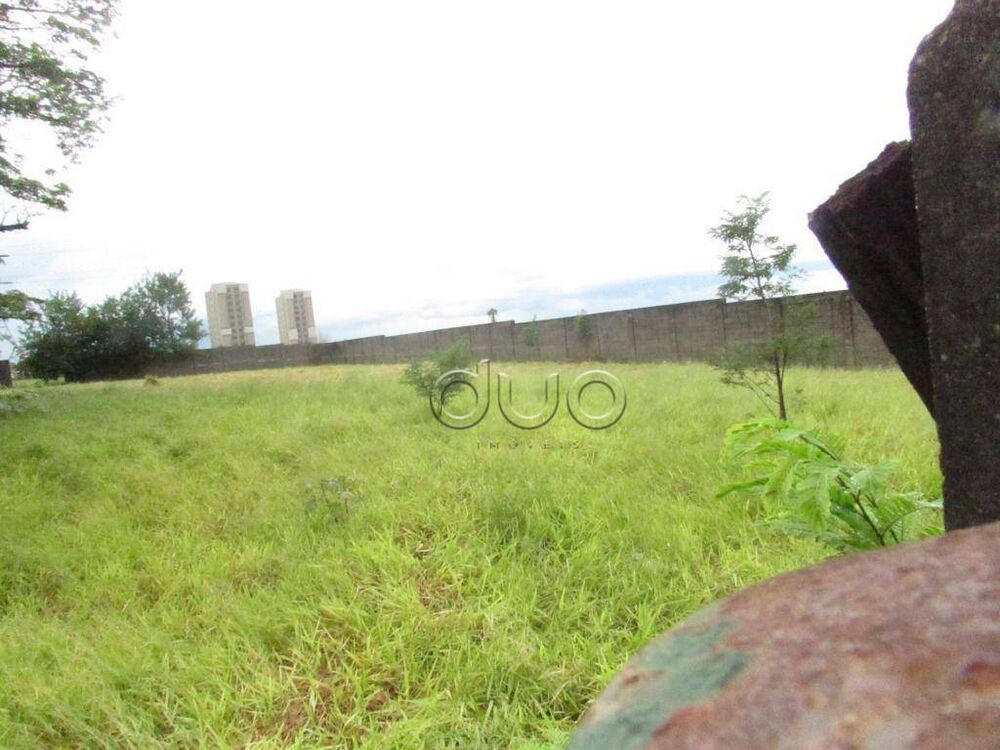 Terreno, 5000 m² - Foto 4