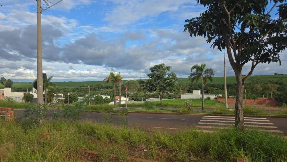Terreno, 250 m² - Foto 2