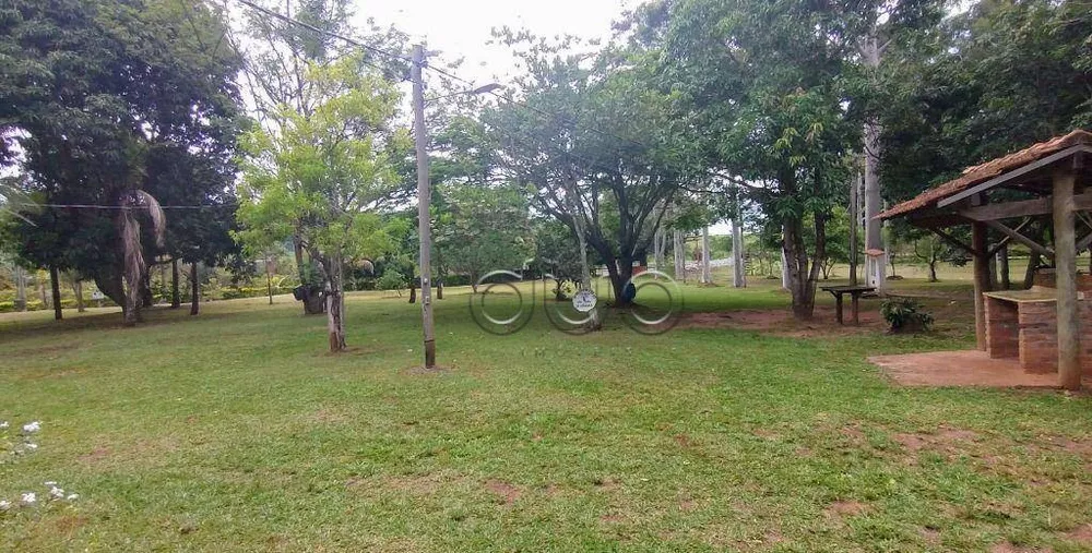 Fazenda, 15 hectares - Foto 4