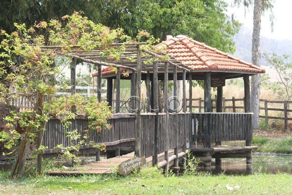 Fazenda, 15 hectares - Foto 3