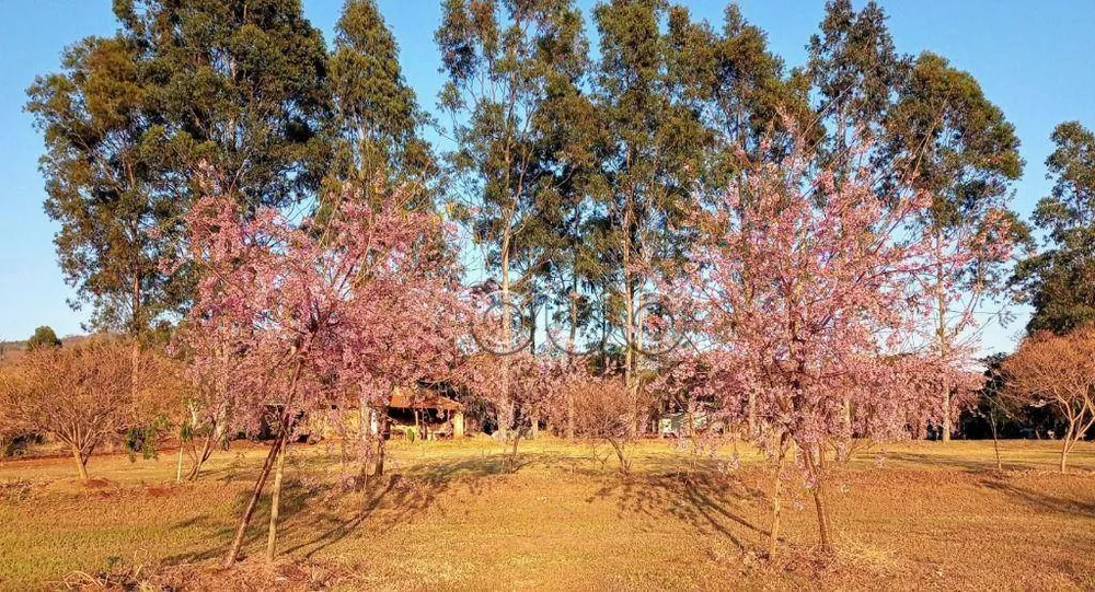 Fazenda, 15 hectares - Foto 46
