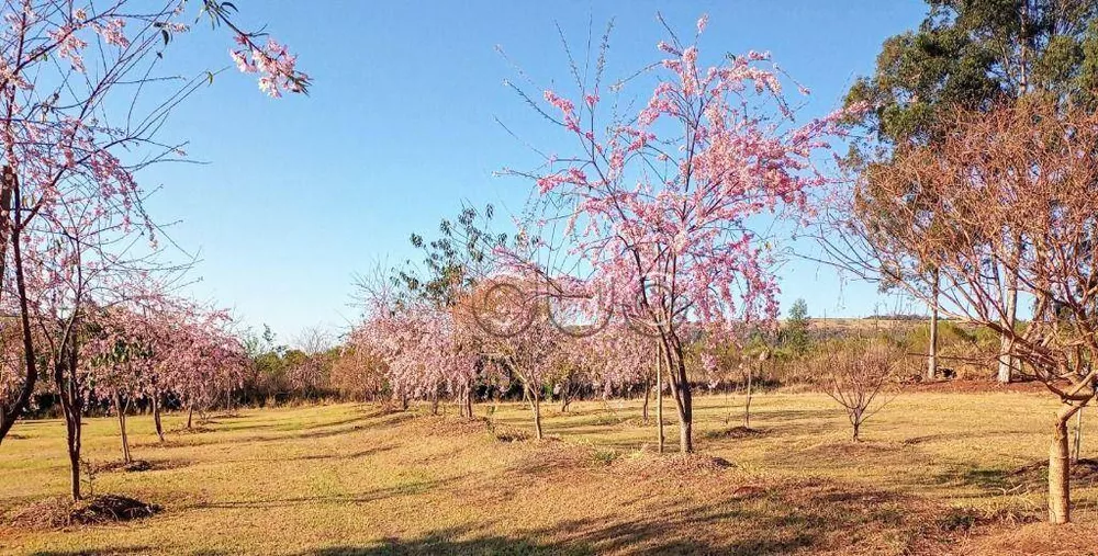 Fazenda, 15 hectares - Foto 49