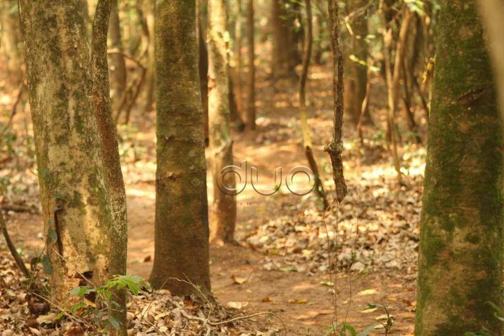 Fazenda, 15 hectares - Foto 36