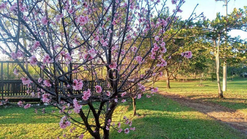 Fazenda, 15 hectares - Foto 52