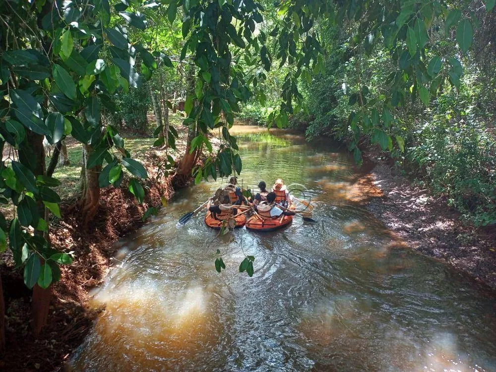 Fazenda, 15 hectares - Foto 11