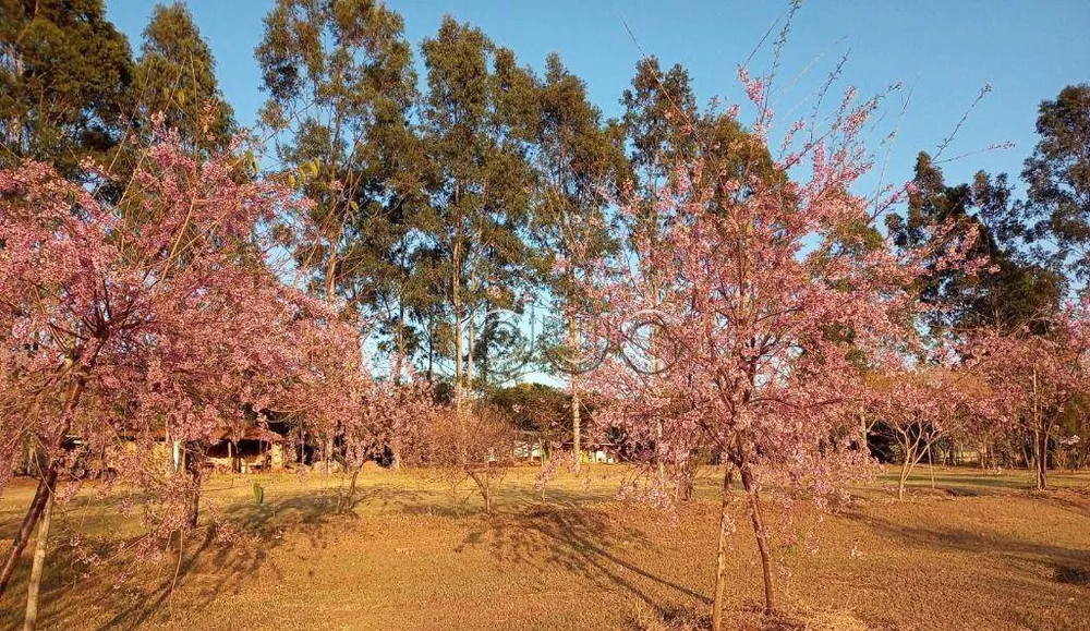 Fazenda, 15 hectares - Foto 47