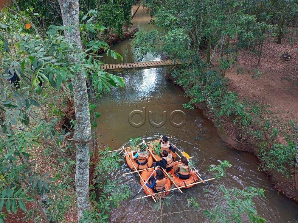 Fazenda, 15 hectares - Foto 12