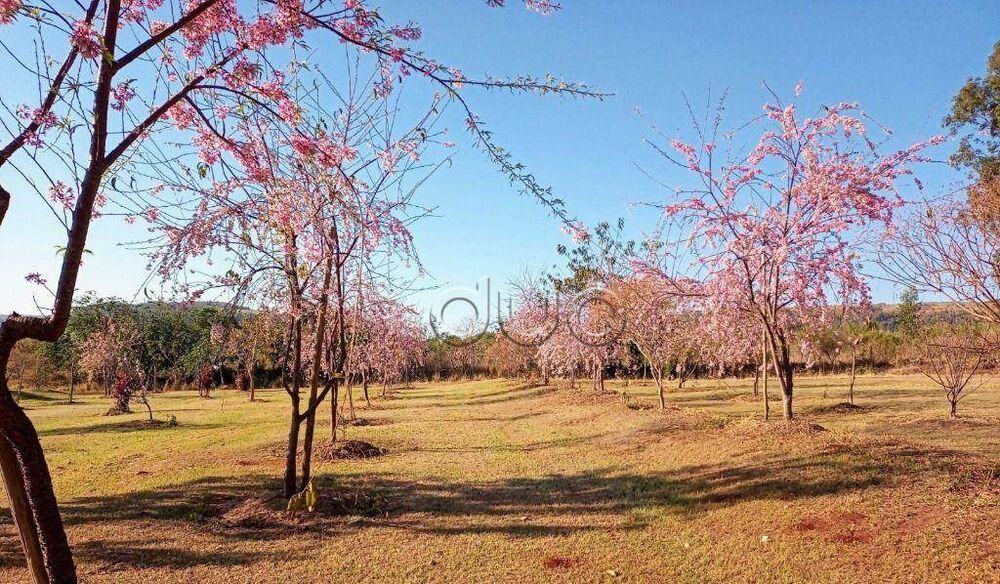 Fazenda, 15 hectares - Foto 48
