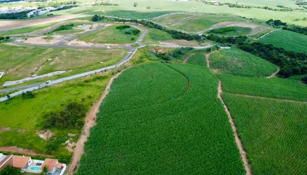 Terreno, 4 hectares - Foto 4