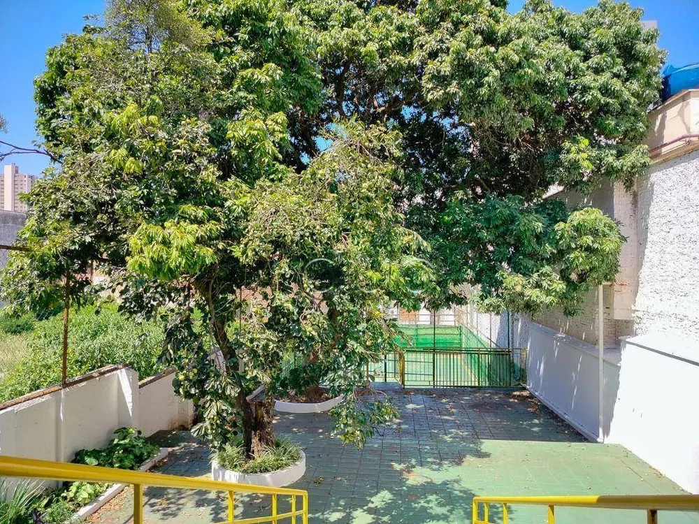Casa, 3 quartos, 433 m² - Foto 7