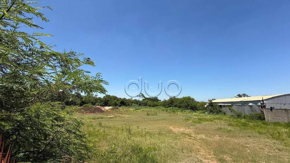 Terreno, 1 hectares - Foto 4