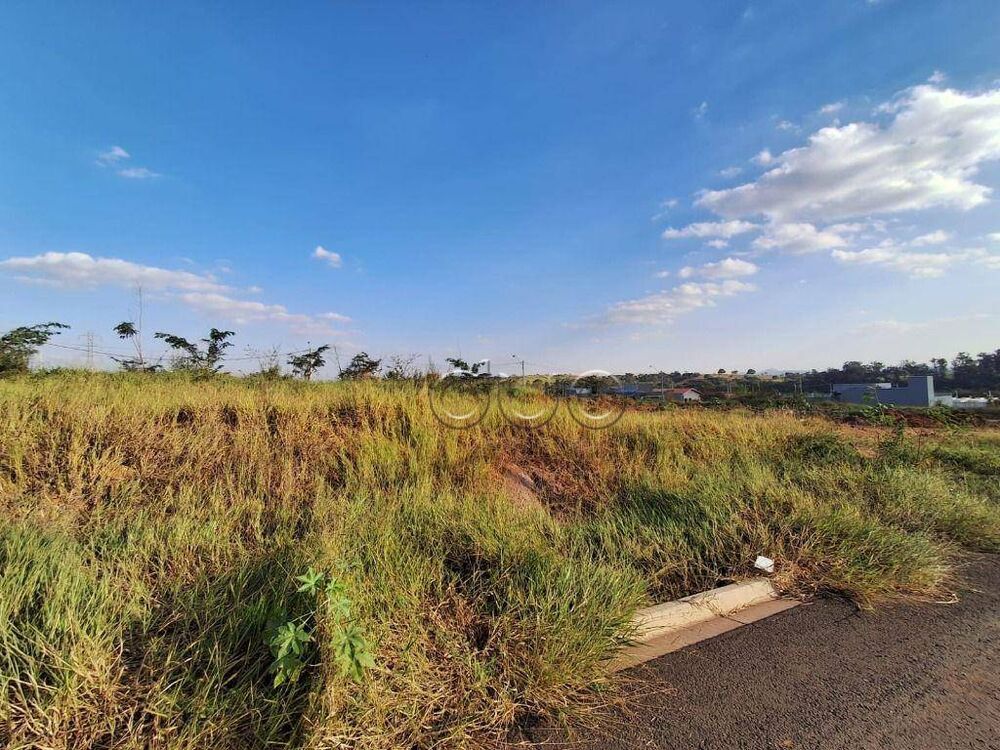 Terreno, 250 m² - Foto 3