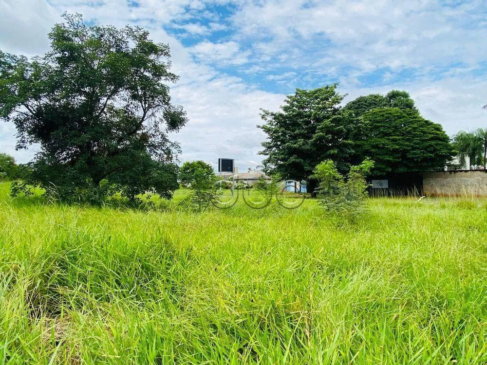 Terreno, 2677 m² - Foto 11