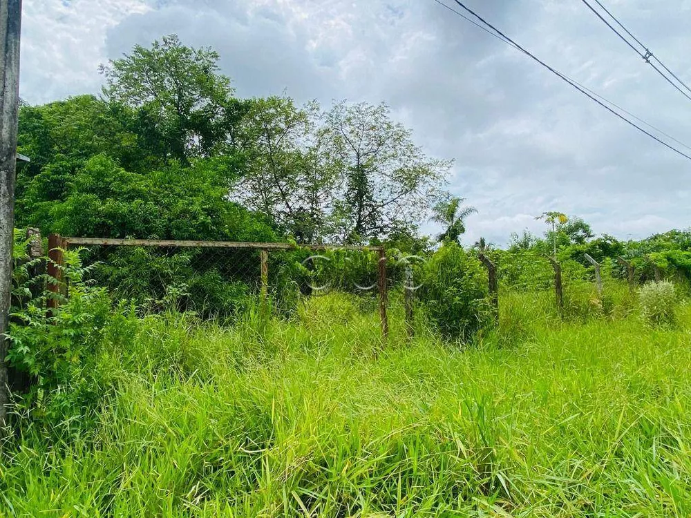 Terreno, 2677 m² - Foto 12