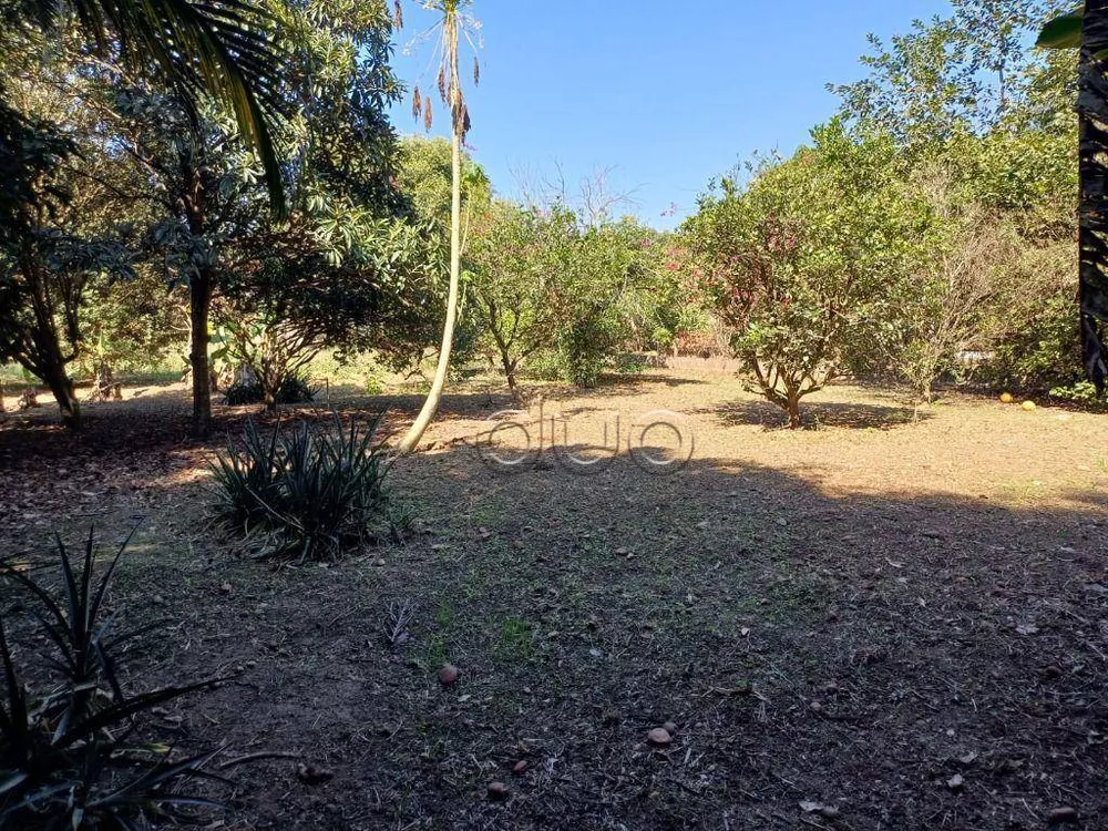 Terreno, 3162 m² - Foto 2
