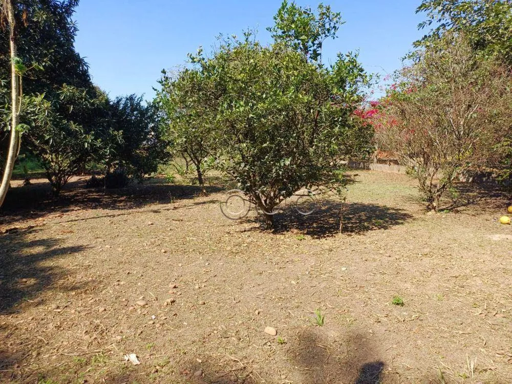 Terreno, 3162 m² - Foto 7
