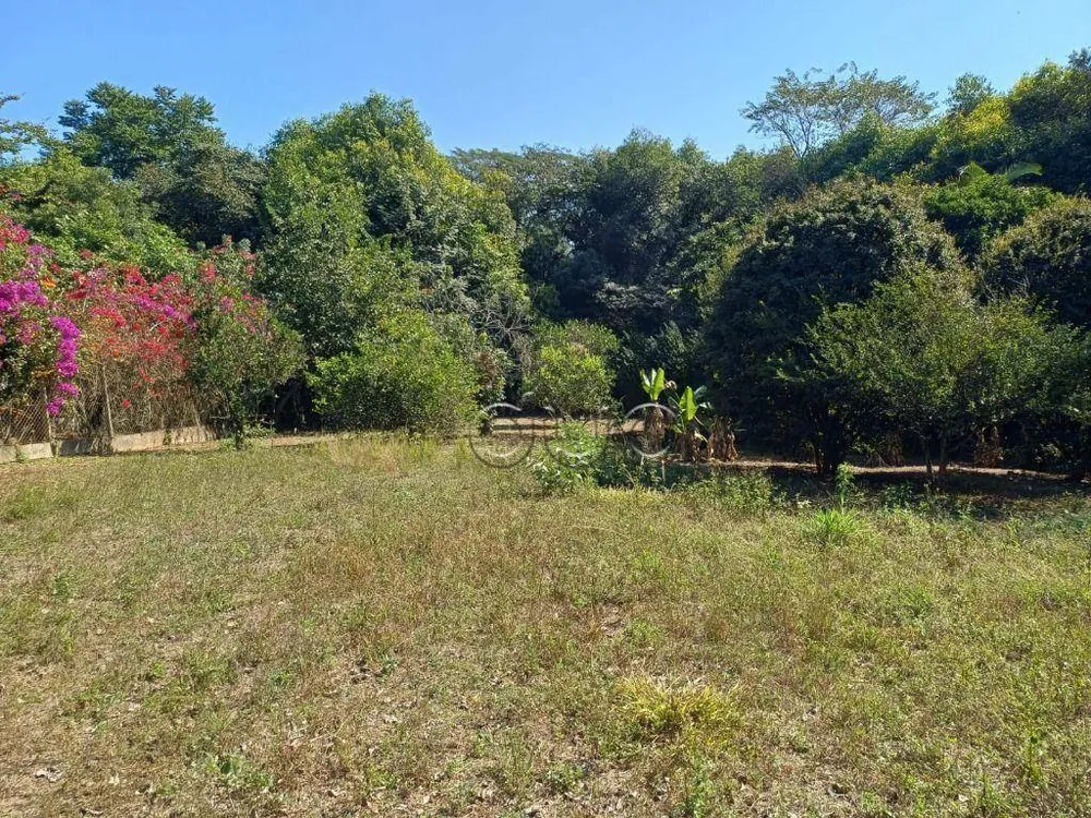 Terreno, 3162 m² - Foto 4