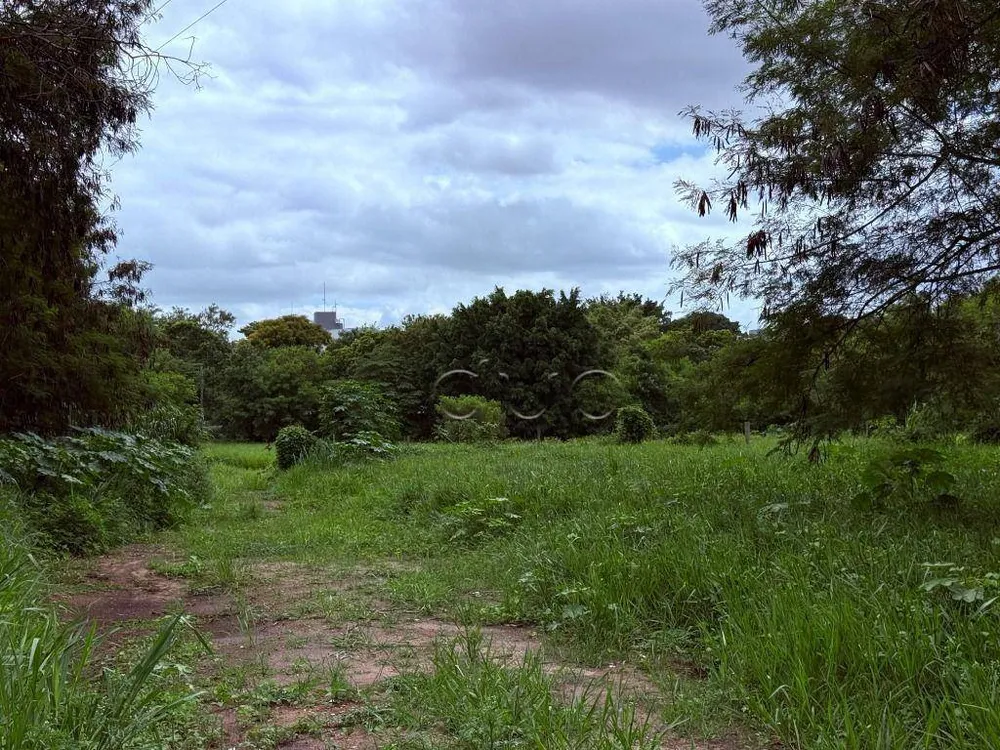 Terreno, 3 hectares - Foto 4