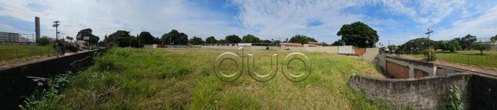 Terreno, 2878 m² - Foto 8