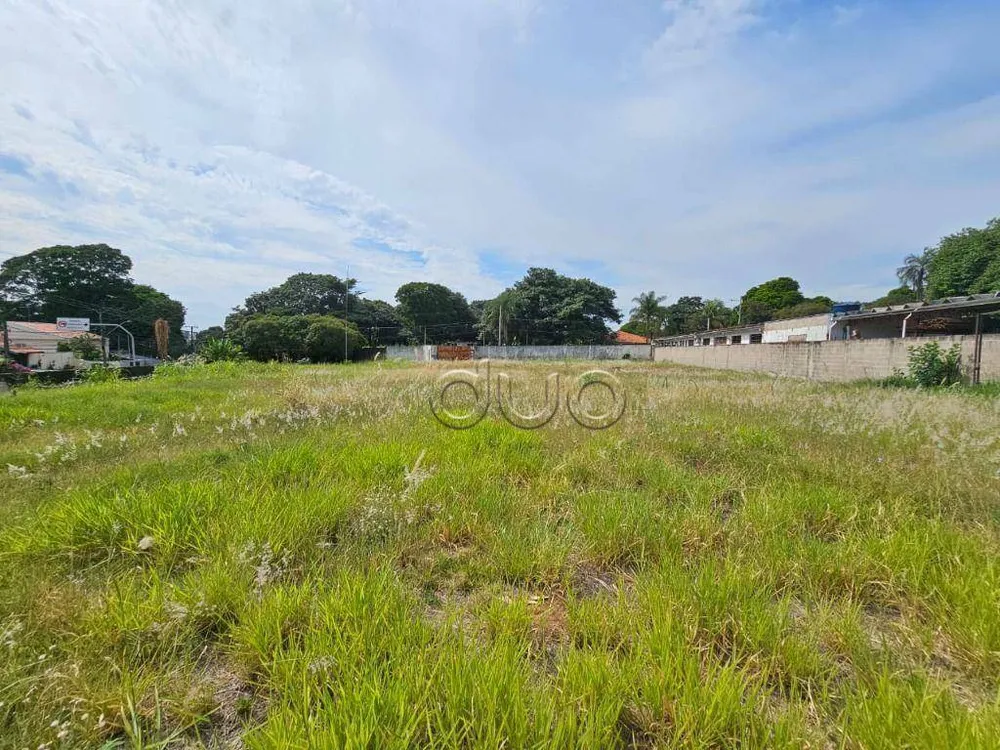 Terreno, 2878 m² - Foto 4