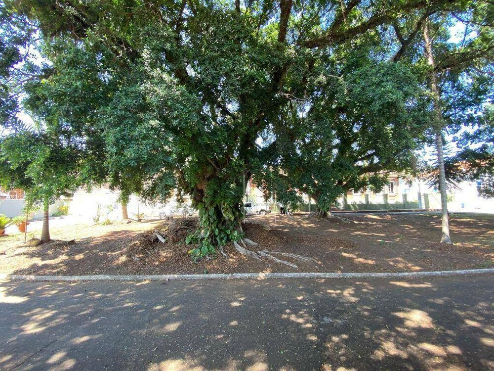 Casa, 131 m² - Foto 14