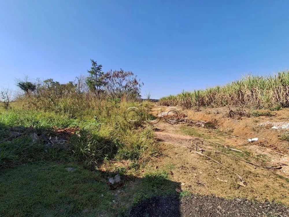 Terreno, 3450 m² - Foto 5