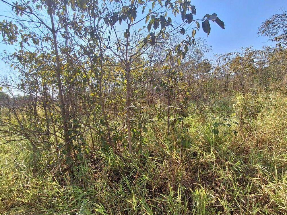 Terreno, 3450 m² - Foto 7