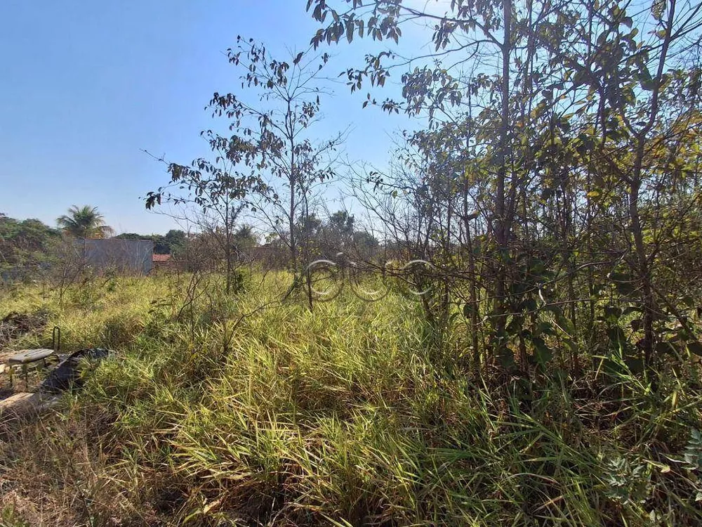 Terreno, 3450 m² - Foto 3