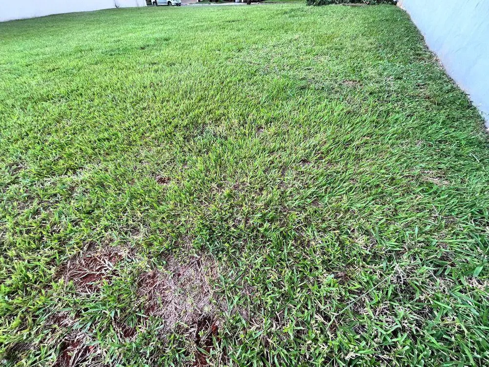 Loteamento e Condomínio, 300 m² - Foto 1