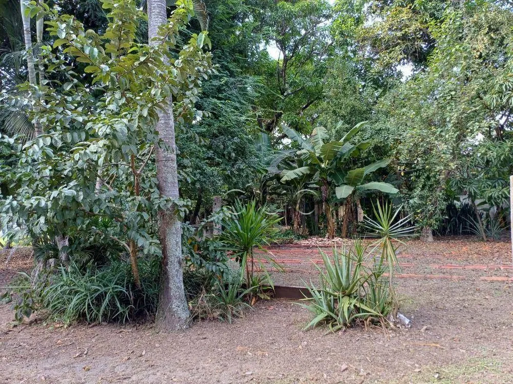 Chácara, 2 quartos, 3600 m² - Foto 2