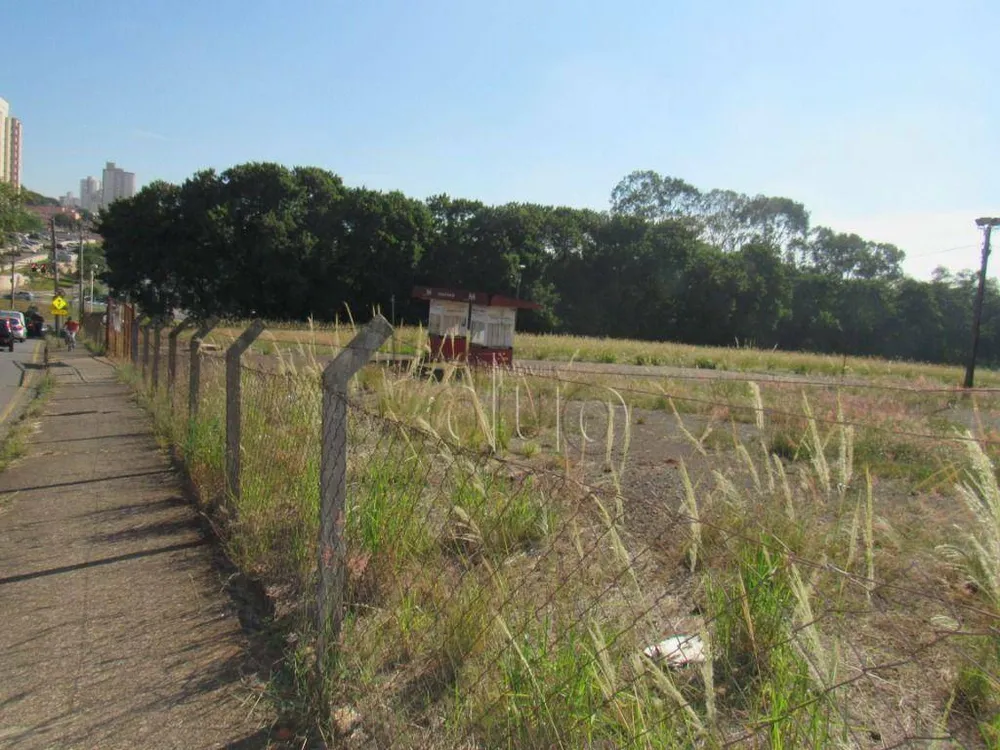 Terreno, 2 hectares - Foto 6
