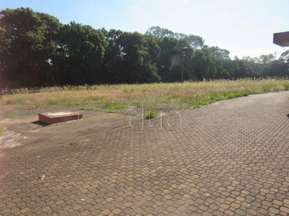 Terreno, 2 hectares - Foto 7
