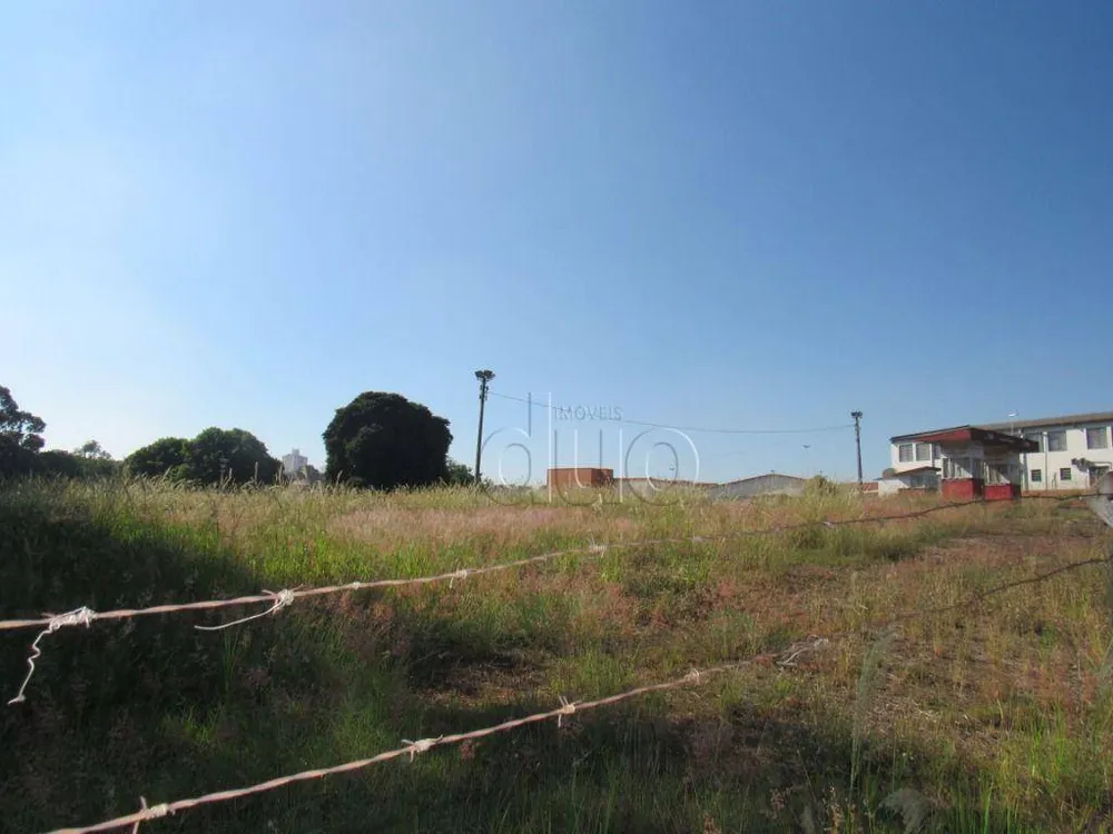 Terreno, 2 hectares - Foto 8