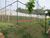 Apartamento, 2 quartos, 46 m² - Foto 10