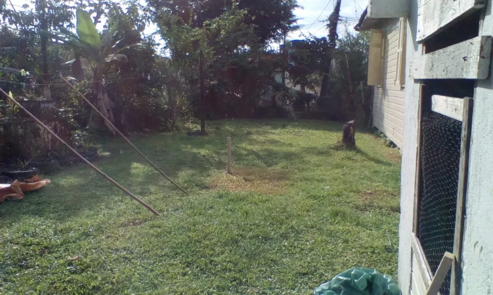 Terreno, 6536 m² - Foto 12