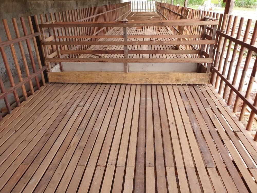 Sítio, 6200 m² - Foto 2