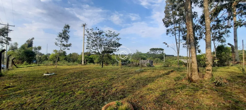 Terreno, 1000 m² - Foto 3