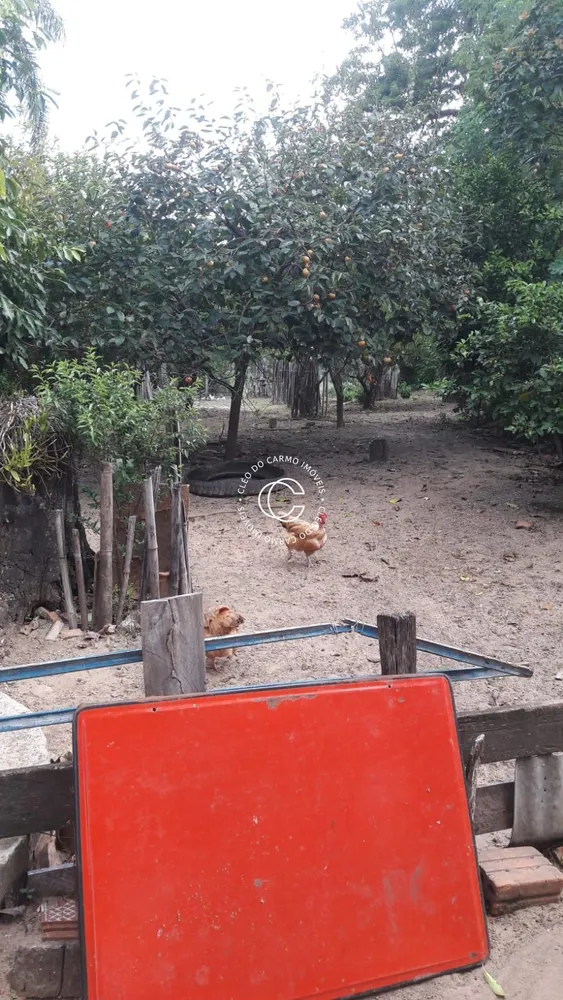 Chácara, 4 quartos, 3 hectares - Foto 3