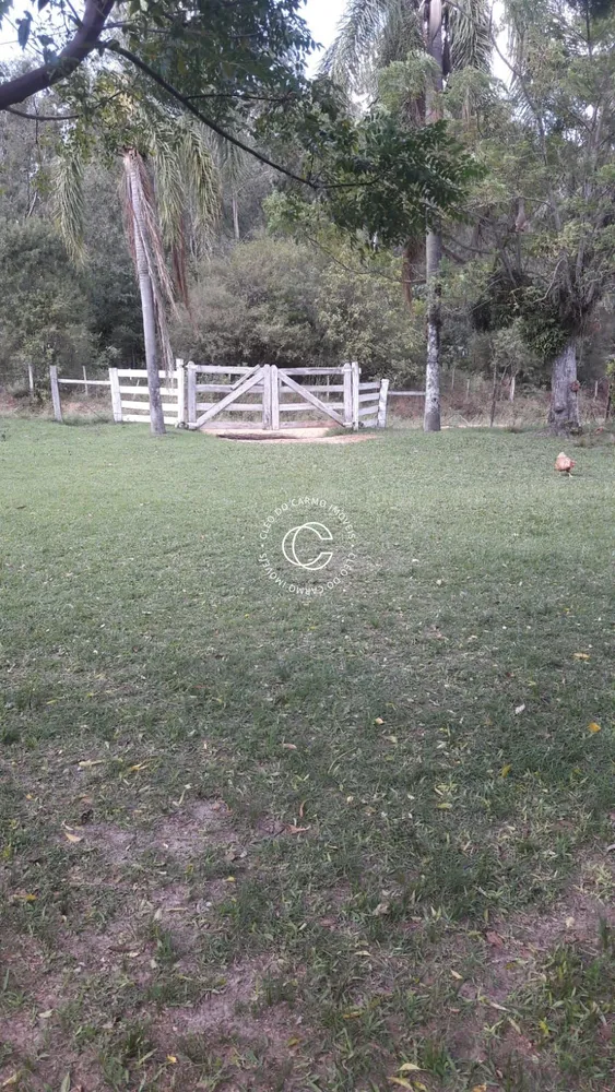 Chácara, 4 quartos, 3 hectares - Foto 2