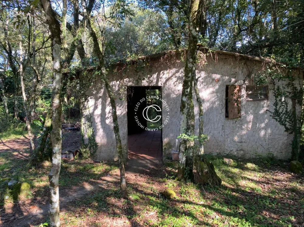 Chácara, 4 quartos, 4500 m² - Foto 4