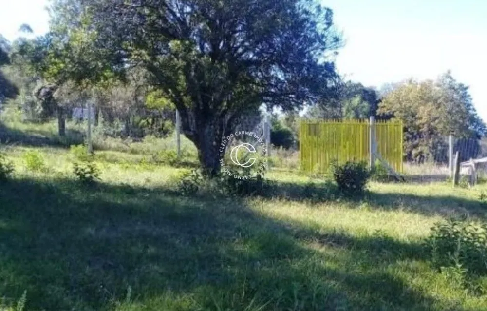 Terreno, 3000 m² - Foto 3