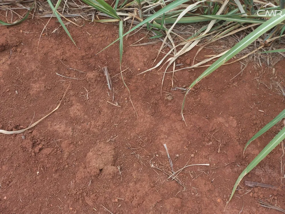 Loteamento e Condomínio, 36300 hectares - Foto 1